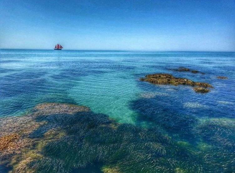 شقة “Ad Un Passo Dal Mare” ريالمونتي المظهر الخارجي الصورة